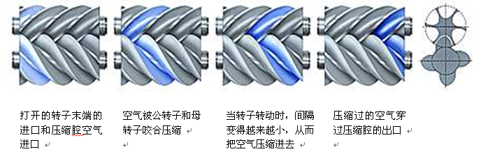 螺杆压缩循环系统